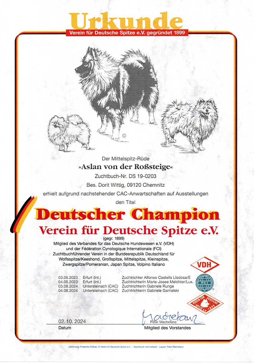 Champion-vdsp-gebo